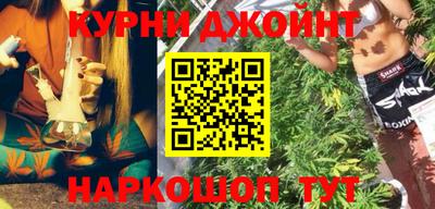 spice Камышлов