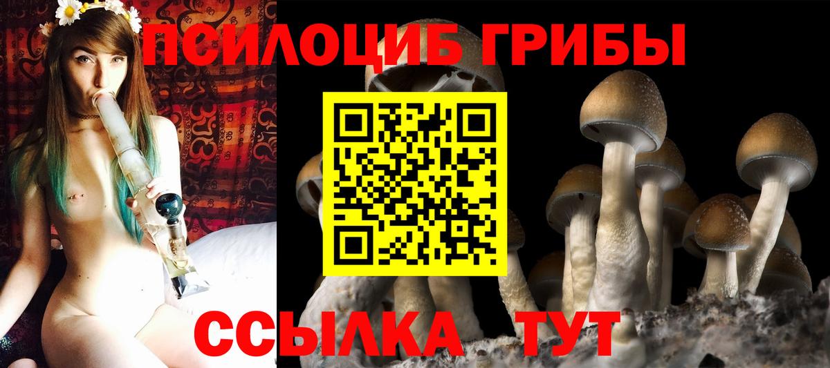 Псилоцибиновые грибы Magic Shrooms  Вход с VPN  Чебаркуль 